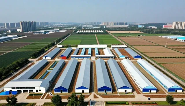 信息系统集成中开发效率提升的关键路径